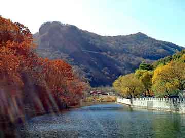 澳门二四六天天彩图库，假丝绵